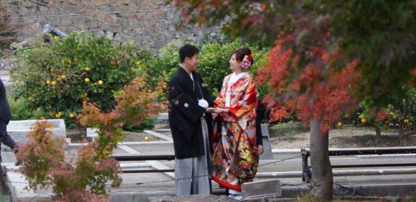 Приморцы при поездках в Японию через туркомпании чаще бронируют отели и заказывают трансфер