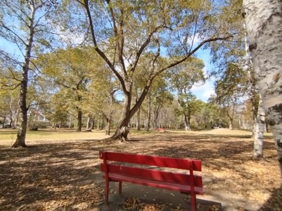 Прощаемся с летом и привлекаем удачу на Фестивале Осени в Уссурийске