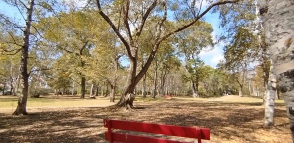 Прощаемся с летом и привлекаем удачу на Фестивале Осени в Уссурийске