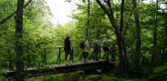 Релакс и путешествие по следам Арсеньева привлекают туристов в Сихотэ-Алинский заповедник