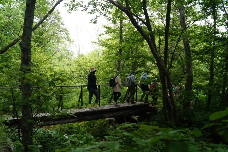 Релакс и путешествие по следам Арсеньева привлекают туристов в Сихотэ-Алинский заповедник