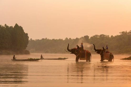 Знакомьтесь, природные чудеса Таиланда — Сурин и Сисакет