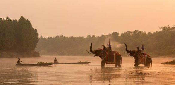 Знакомьтесь, природные чудеса Таиланда — Сурин и Сисакет