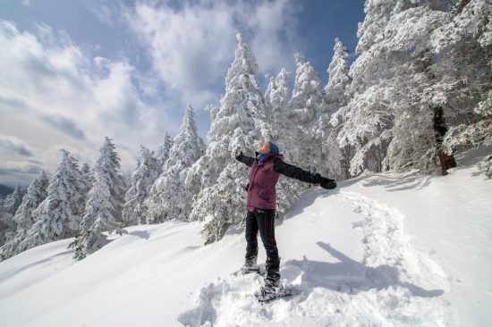 Почти 1800 человек отдохнули в Приморье «у моря» в зимние праздники