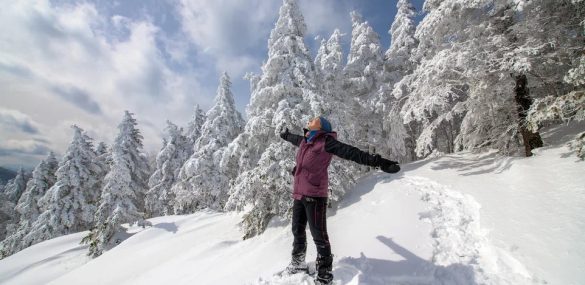 Почти 1800 человек отдохнули в Приморье «у моря» в зимние праздники