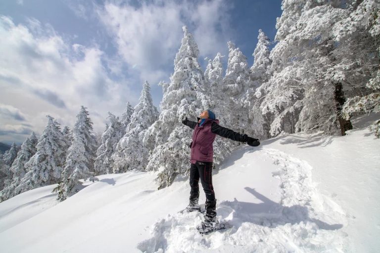 Почти 1800 человек отдохнули в Приморье «у моря» в зимние праздники