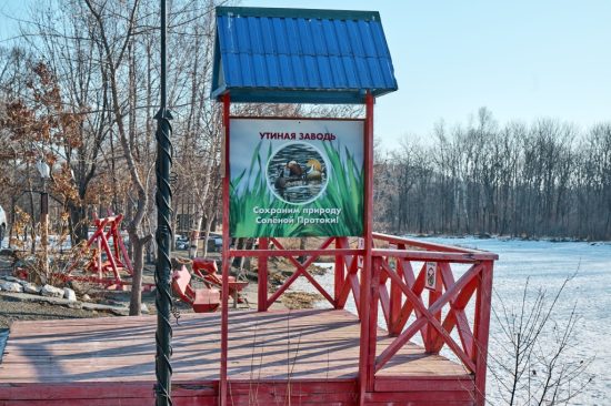 Жизнь уток-мандаринок и наблюдателей за пернатыми сделают более комфортной