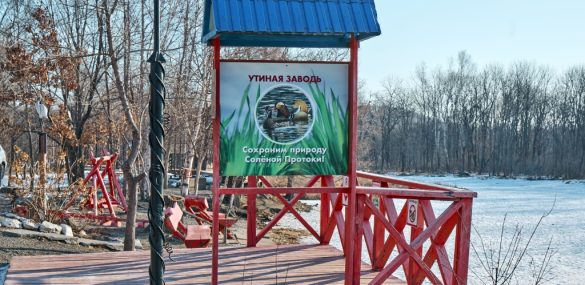 Жизнь уток-мандаринок и наблюдателей за пернатыми сделают более комфортной