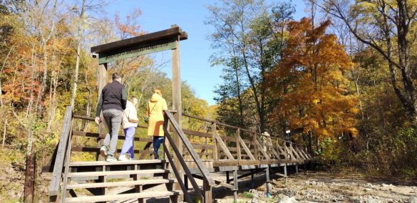 Муниципалитеты Приморья займутся развитием туристических маршрутов