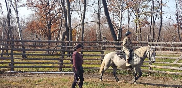 На приморских ДВ-гектарах развивают экологический туризм