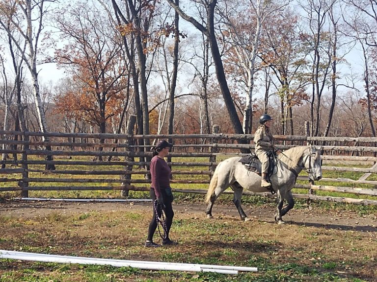 На приморских ДВ-гектарах развивают экологический туризм