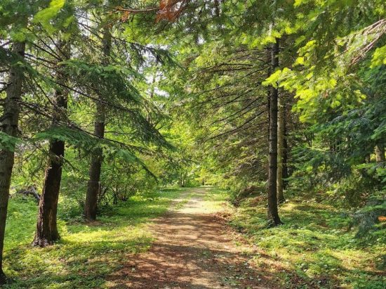 Жителей и гостей Владивостока приглашают на экскурсии в Дендрарий горнотаежной станции