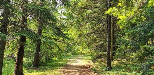 Жителей и гостей Владивостока приглашают на экскурсии в Дендрарий горнотаежной станции