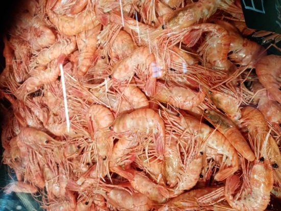 Как отдохнуть в Приморье вкусно и безопасно