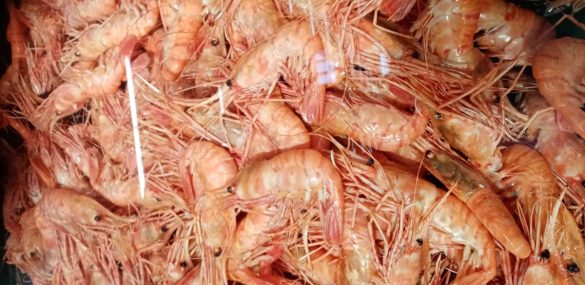 Как отдохнуть в  Приморье вкусно и безопасно