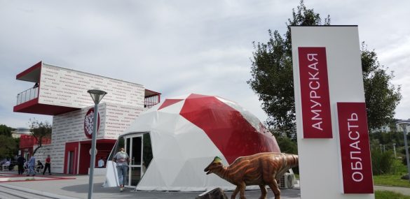 О российско-китайском сотрудничестве поведает на ВЭФ Амурская область