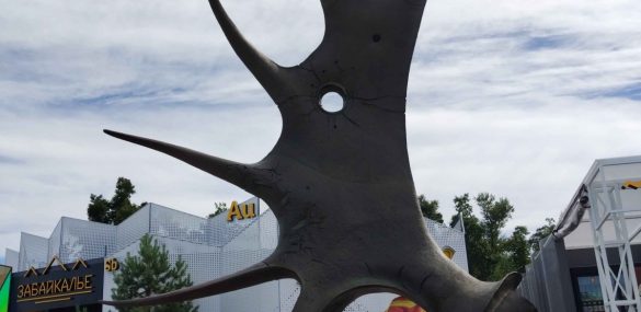 Забайкалье удивит гостей ВЭФ бронзовым лосем и интерактивной «мандалой»