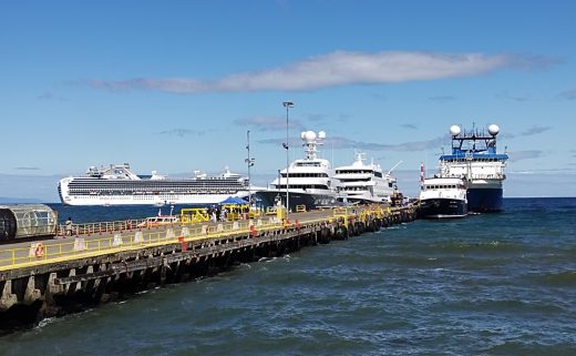 Запуск регулярной круизной линии Приморье — Камчатка — Сахалин обещают в мае 2026 года