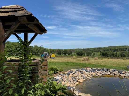 Парк семейного отдыха создадут в промышленном Спасске на ДВ-гектаре