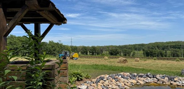 Парк семейного отдыха создадут в промышленном Спасске на ДВ-гектаре