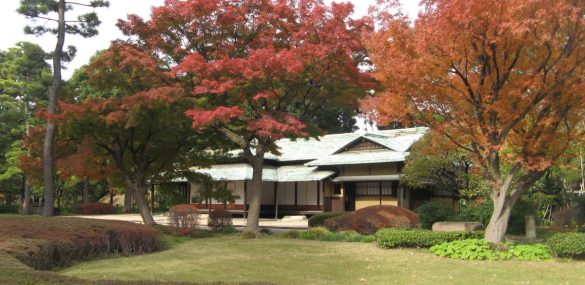 Япония по-прежнему привлекает российских туристов