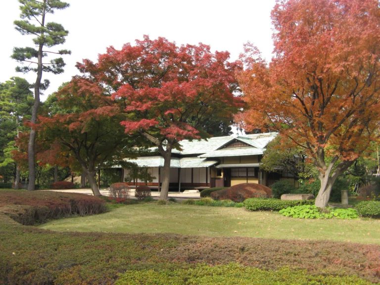 Япония по-прежнему привлекает российских туристов