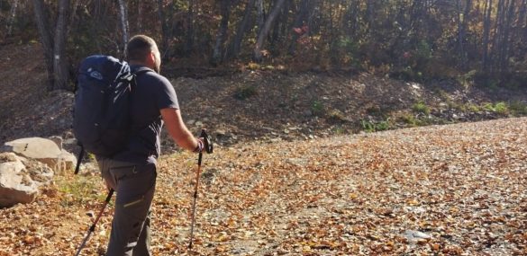 Экотропы в Арсеньеве дополнят отдых на горнолыжном курорте