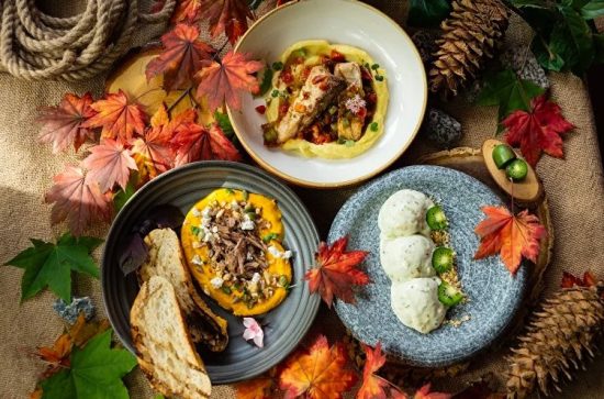 Богатство фактур, цветов и вкусов на фестивале Taigafest во Владивостоке