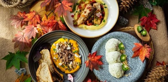 Богатство фактур, цветов и вкусов на фестивале Taigafest во Владивостоке