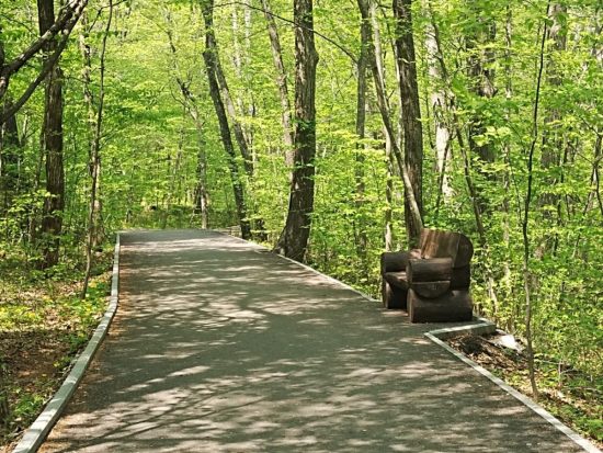 От асфальтированных дорожек до вендинговых автоматов: планы Ботанического сада