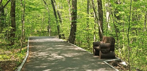 От асфальтированных дорожек до вендинговых автоматов: планы Ботанического сада