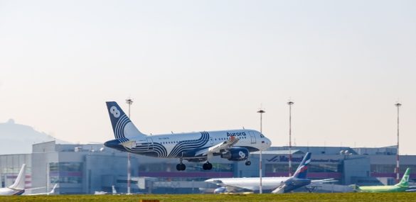 Куда активно летали приморцы в этом году?