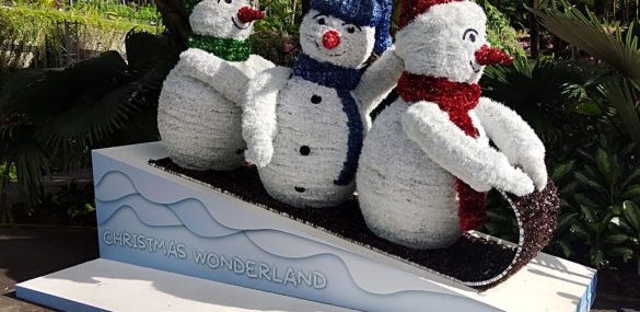 Безвизовый отдых за рубежом в приоритете у российских туристов