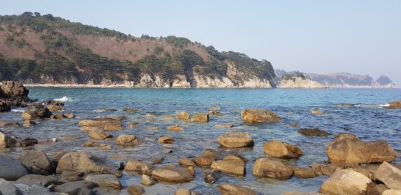 Во Владивостоке появится эко-глэмпинг-парк