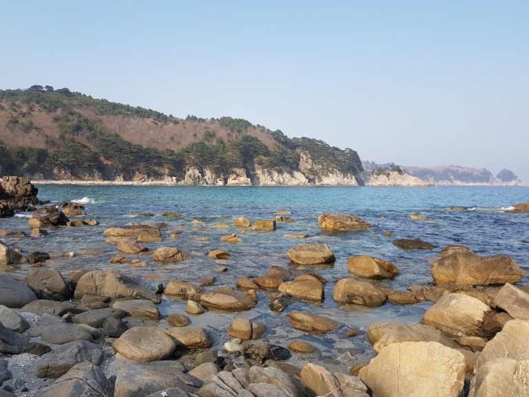 Во Владивостоке появится эко-глэмпинг-парк