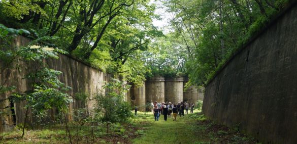 Знакомство с Владивостокской крепостью: упор на Форт №1 и Саперный редут №4