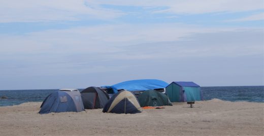 Развитие пляжной территории бухты Триозёрье обсудили в Приморье