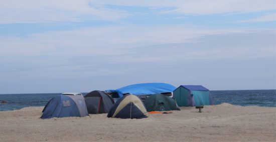 Развитие пляжной территории бухты Триозёрье обсудили в Приморье