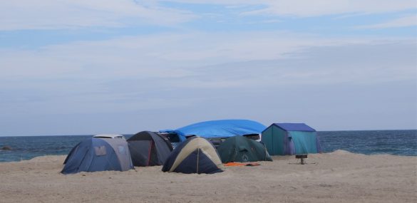 Развитие пляжной территории бухты Триозёрье обсудили в Приморье