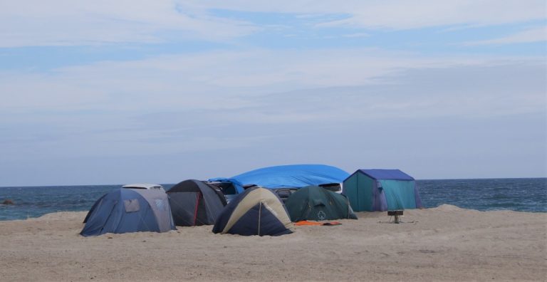 Развитие пляжной территории бухты Триозёрье обсудили в Приморье