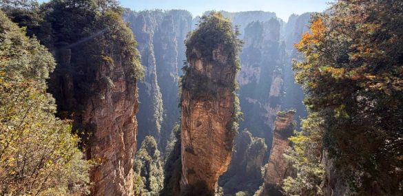 Из Владивостока к горам Аватара без пересадок