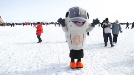 Повара от Калининграда до Камчатки соберутся на Чукотке на фестивале «Корфест»