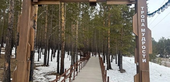 Более 70 тысяч человек прошли по «Тропе здоровья» в Улан-Удэ с начала 2026 года