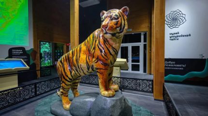 Китайские туристы могут знакомиться с Уссурийской тайгой на родном для себя языке