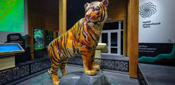 Китайские туристы могут знакомиться с Уссурийской тайгой на родном для себя языке