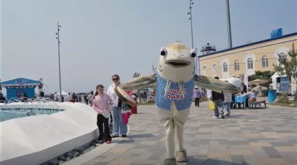 «Закидываем сети»: во Владивосток «идет» минтай