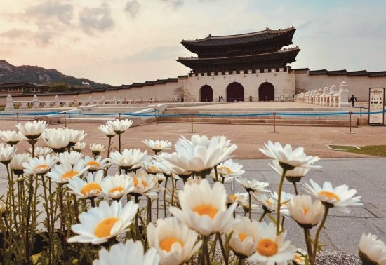 Кто куда, а я в Корею!