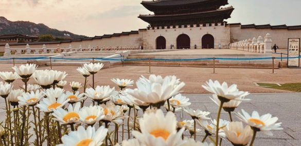 Кто куда, а я в Корею!