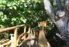 Туристов убедительно просят воздержаться от посещения «Тропы Осьминога» до ее открытия