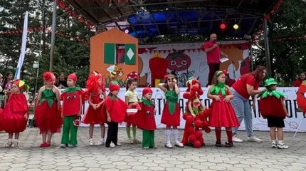 Приглашаем в Черниговку на юбилейный фестиваль томатов «Бешеная ягода»